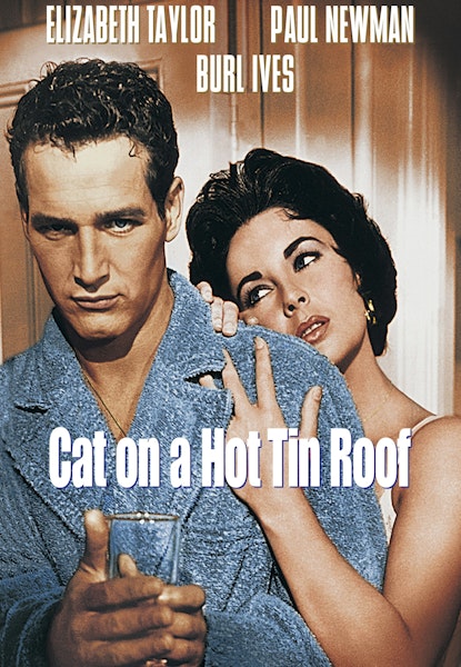 Katt på hett blikktak