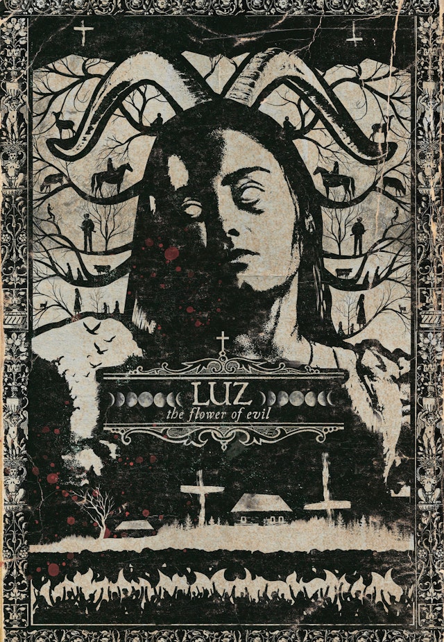 Luz