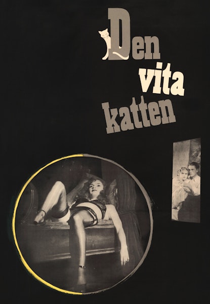Den vita katten