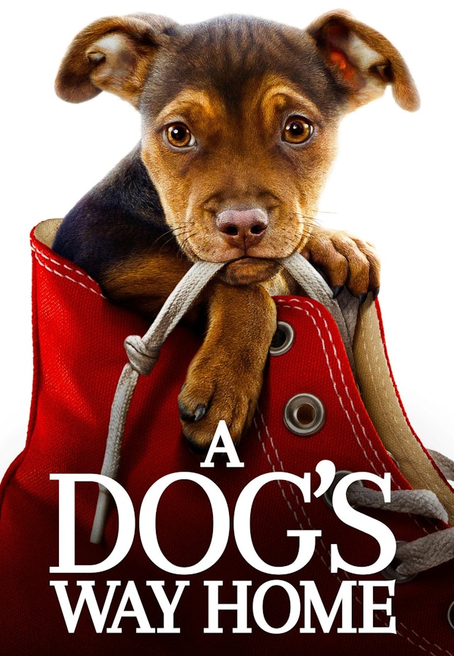 A Dog's Way Home