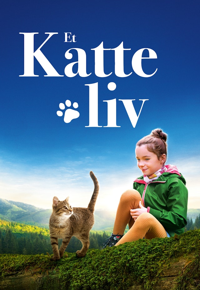A Cat's Life