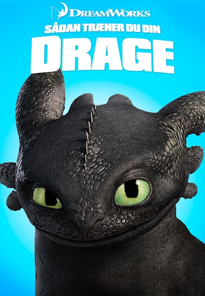 Sådan træner du din drage