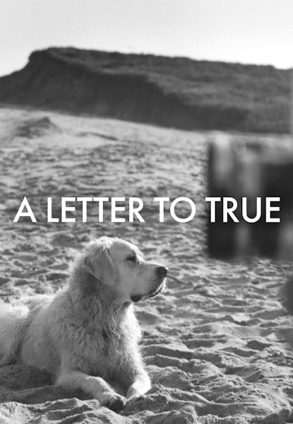 A Letter to True