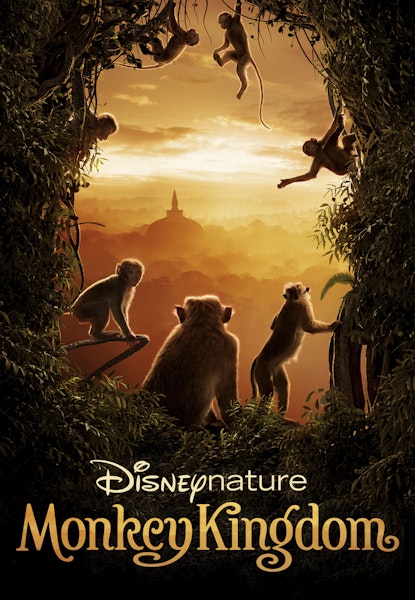 Monkey Kingdom
