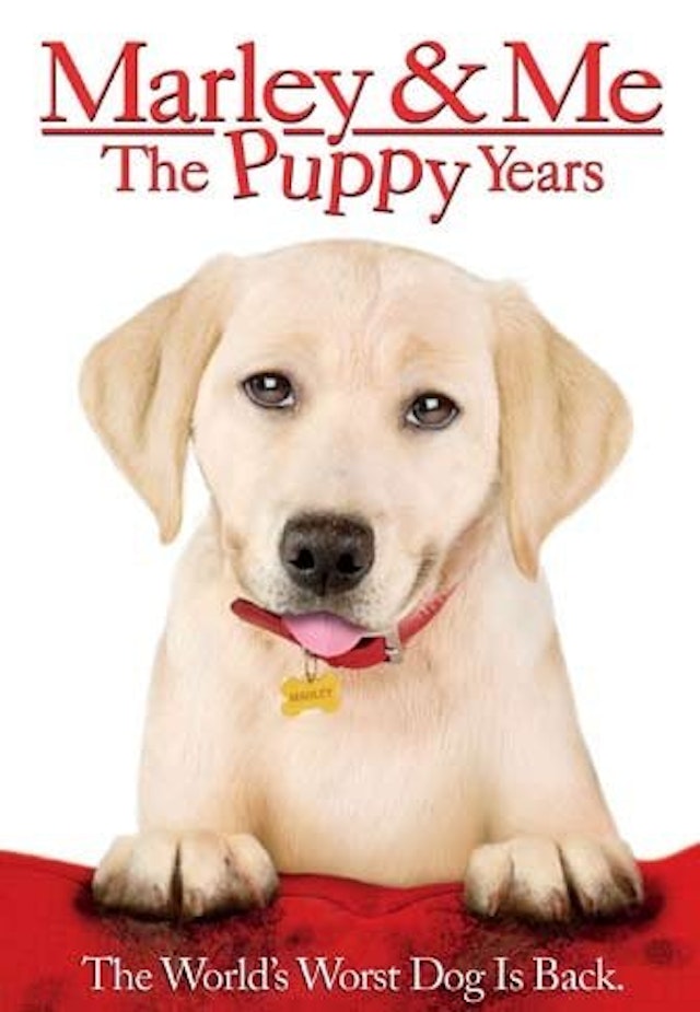 Marley & Me - De første hundeår