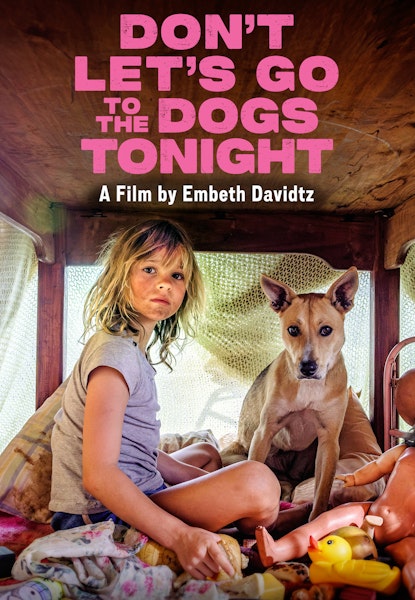 Don't Let's Go to the Dogs Tonight