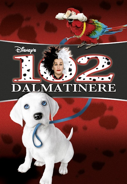 102 dalmatinere
