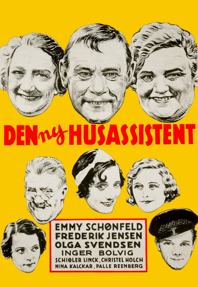 Den Ny Husassistent