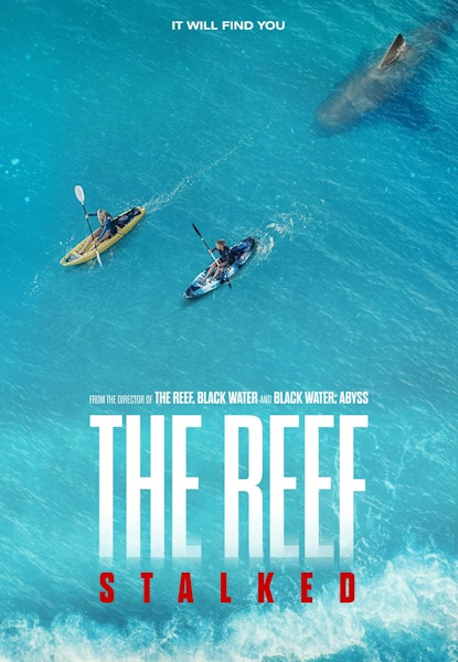 The Reef: Stalked