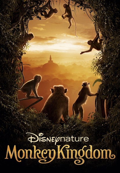 Monkey Kingdom