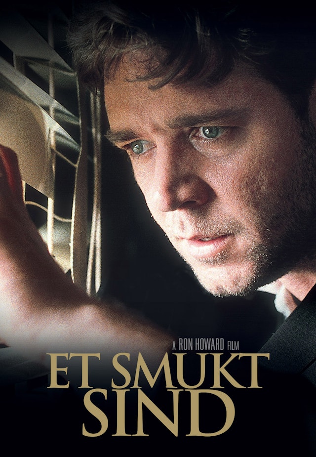 A Beautiful Mind