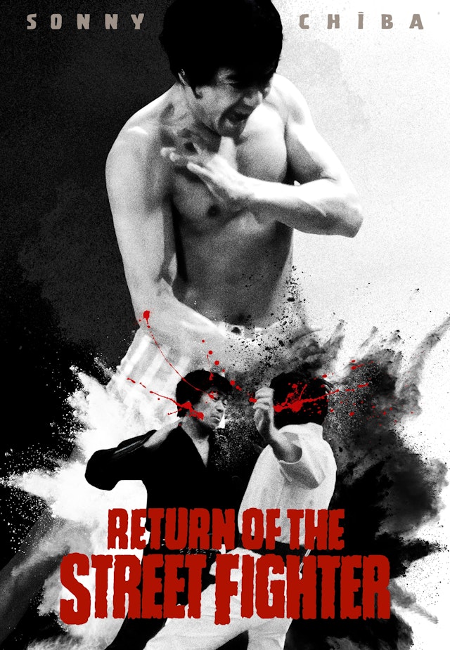 The Return of the Street Fighter