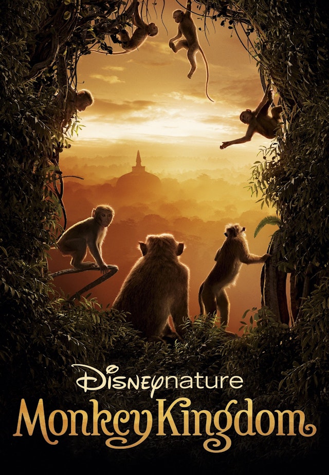 Monkey Kingdom