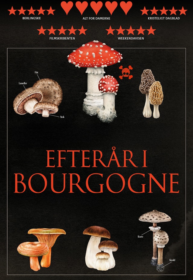 Efterår I Bourgogne
