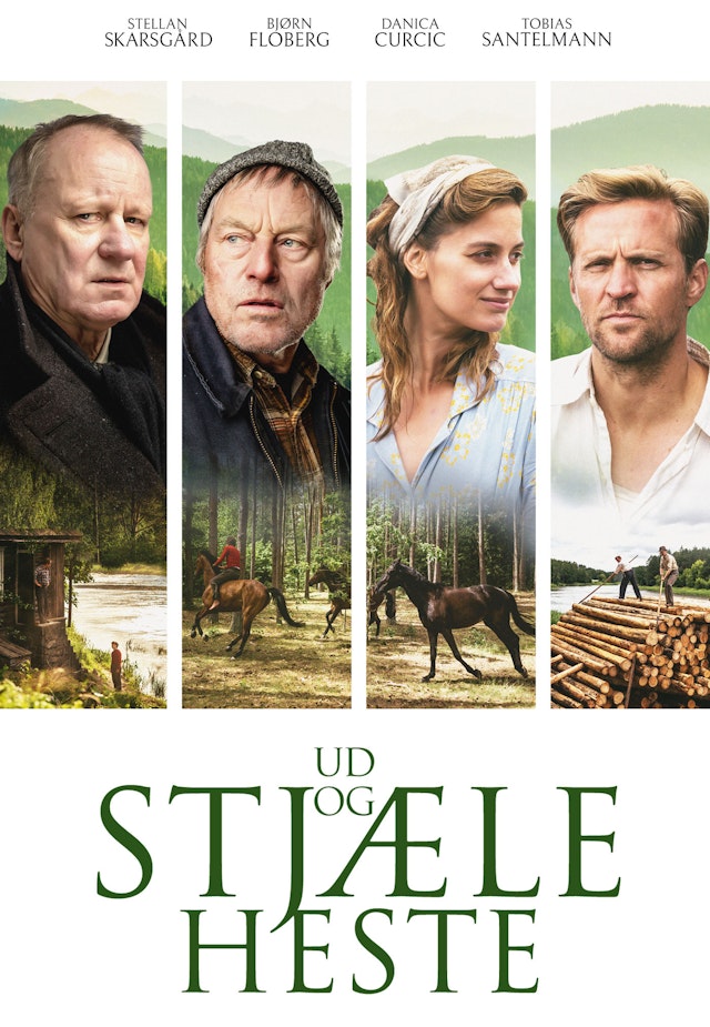 Ud og stjæle heste