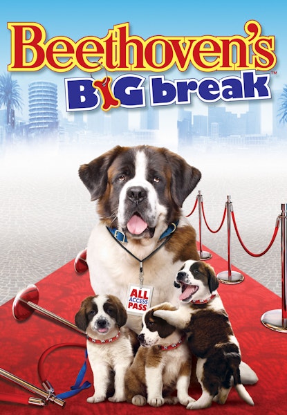 Beethoven's Big Break