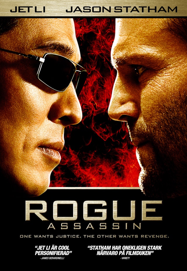 Rogue Assassin