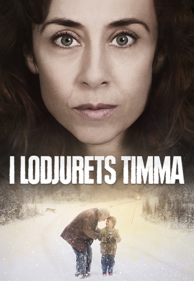 I lodjurets timma