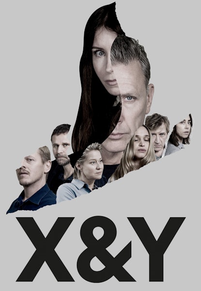 X & Y