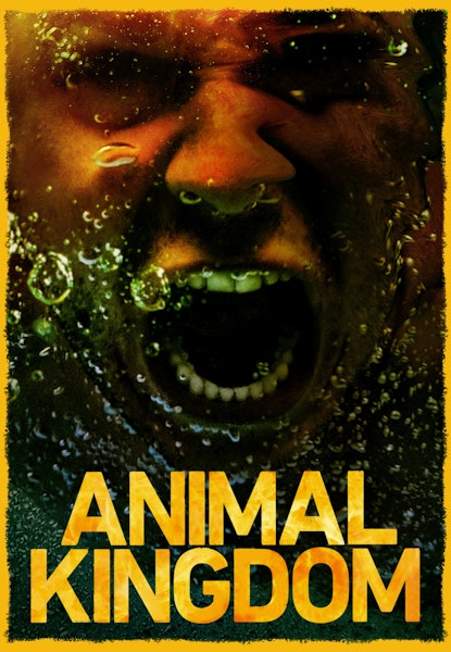 Animal Kingdom