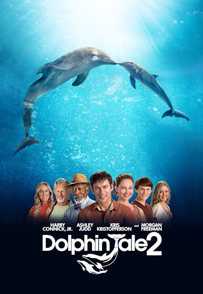 Dolphin Tale 2