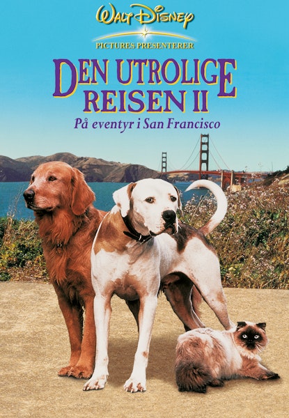 Den utrolige reisen 2 - På eventyr i San Francisco