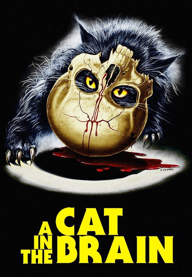A Cat In The Brain