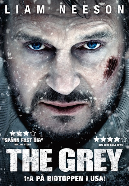 The Grey