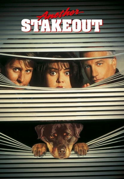 Flere øjne i natten