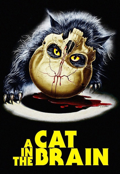 A Cat In The Brain