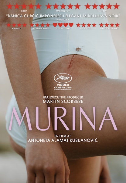 Murina