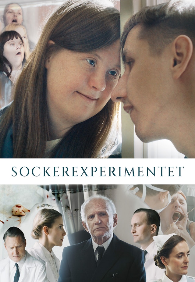 Sockerexperimentet