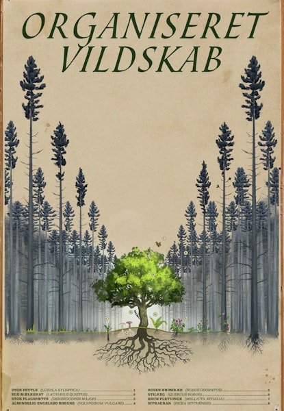 Organiseret vildskab