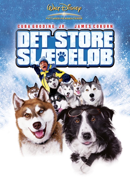 Det store slædeløb