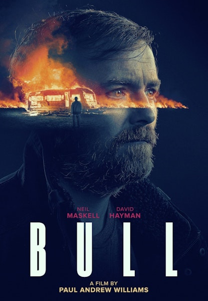 Bull