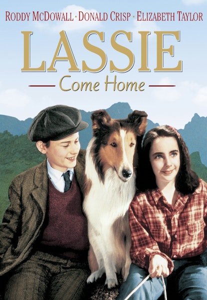 Lassie på äventyr