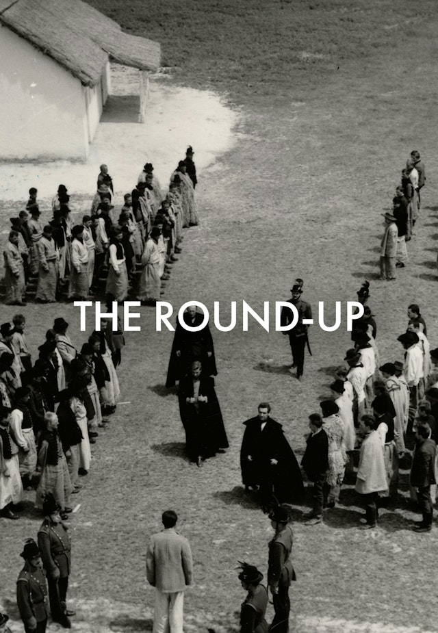 The Round-Up