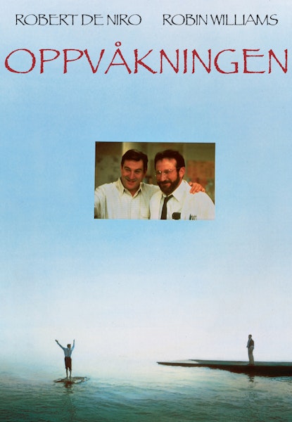 Oppvåkningen