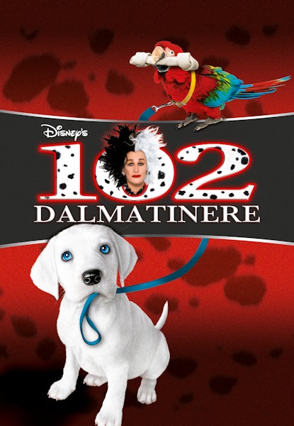 102 dalmatinere