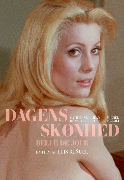 Dagens skønhed