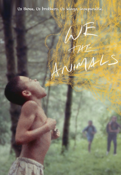 We the Animals