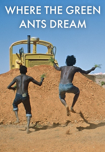 Where The Green Ants Dream