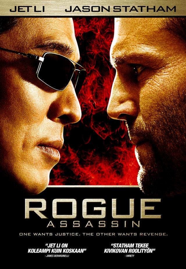 Rogue Assassin