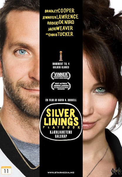 The Silver Linings Playbook – kjærlighetens galskap