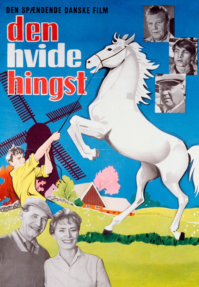 Den hvide hingst