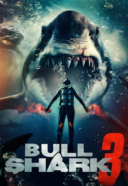 Bull Shark 3