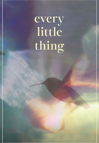 Every Little Thing