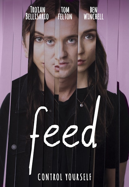 Feed