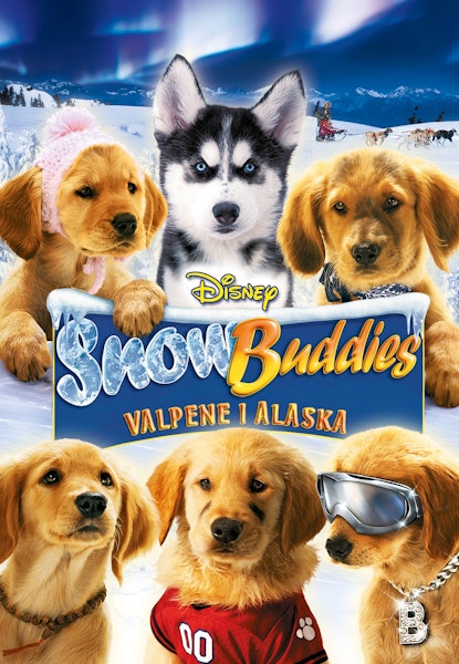 Snow Buddies - Hvalpene i Alaska