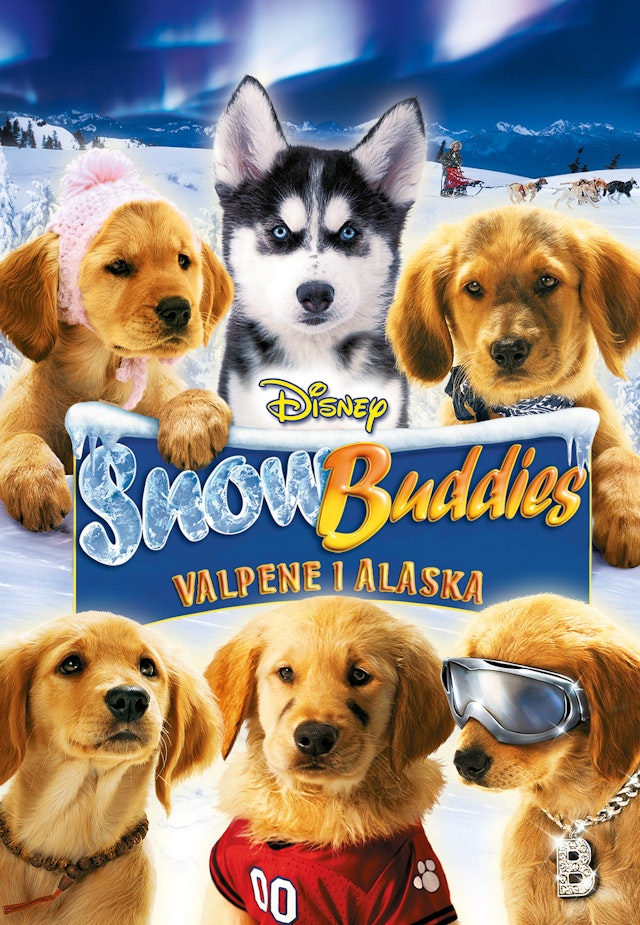 Snow Buddies - Hvalpene i Alaska